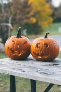 Pumpkins are not just a food staple but also a holiday tradition