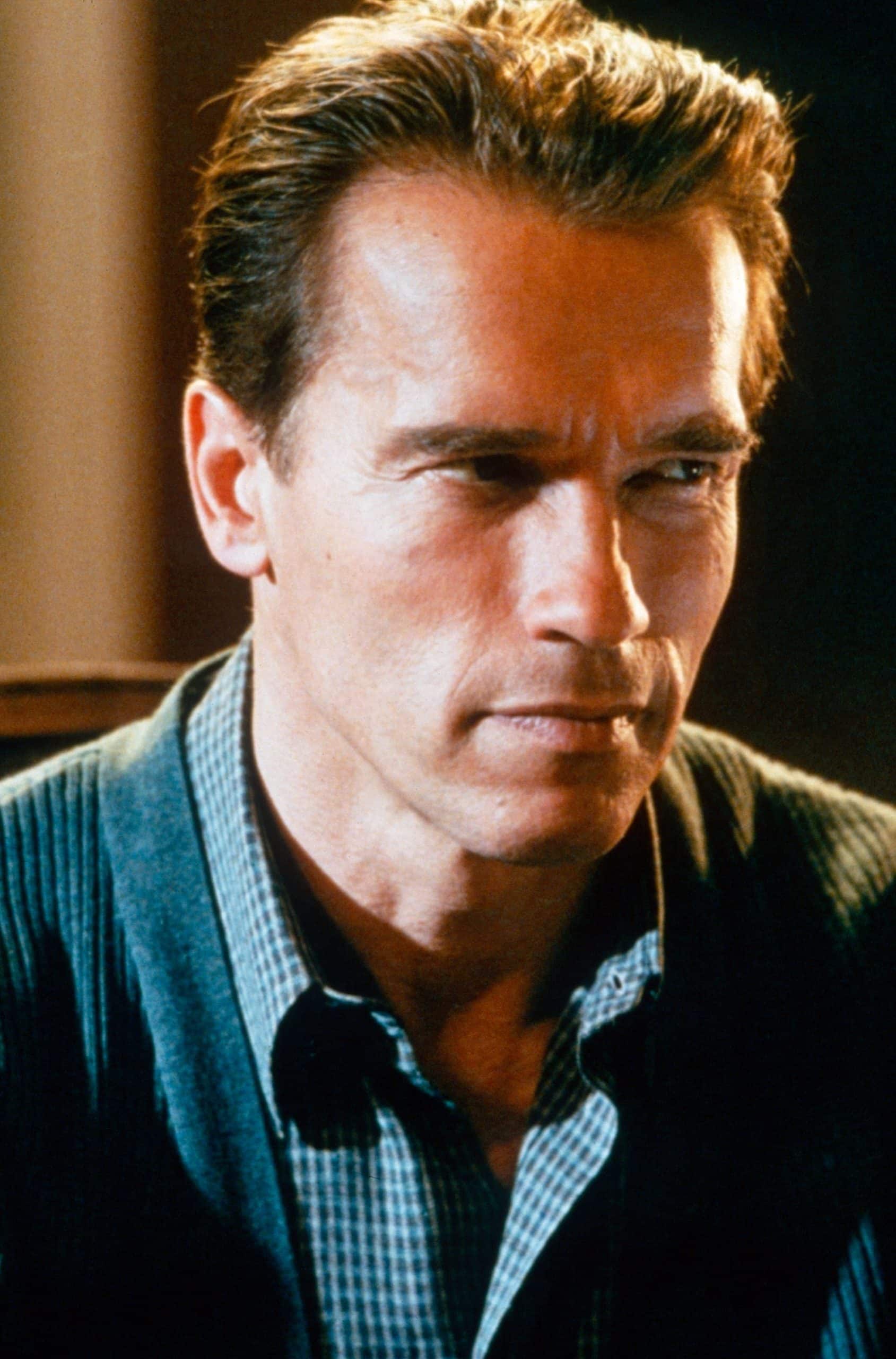 TRUE LIES, Arnold Schwarzenegger, 1994