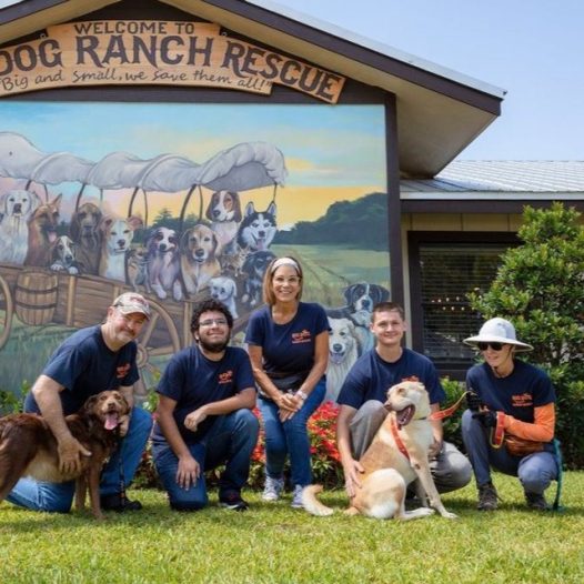 Nation’s Largest No-Kill Dog Rescue Shelter Officially Opens In Alabama ...