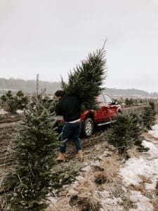 Christmas tree prices are impacted by inflation and supply chain issues