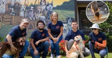 Nation’s_Largest_No-Kill_Dog_Rescue_Shelter_Opens_In_Alabama