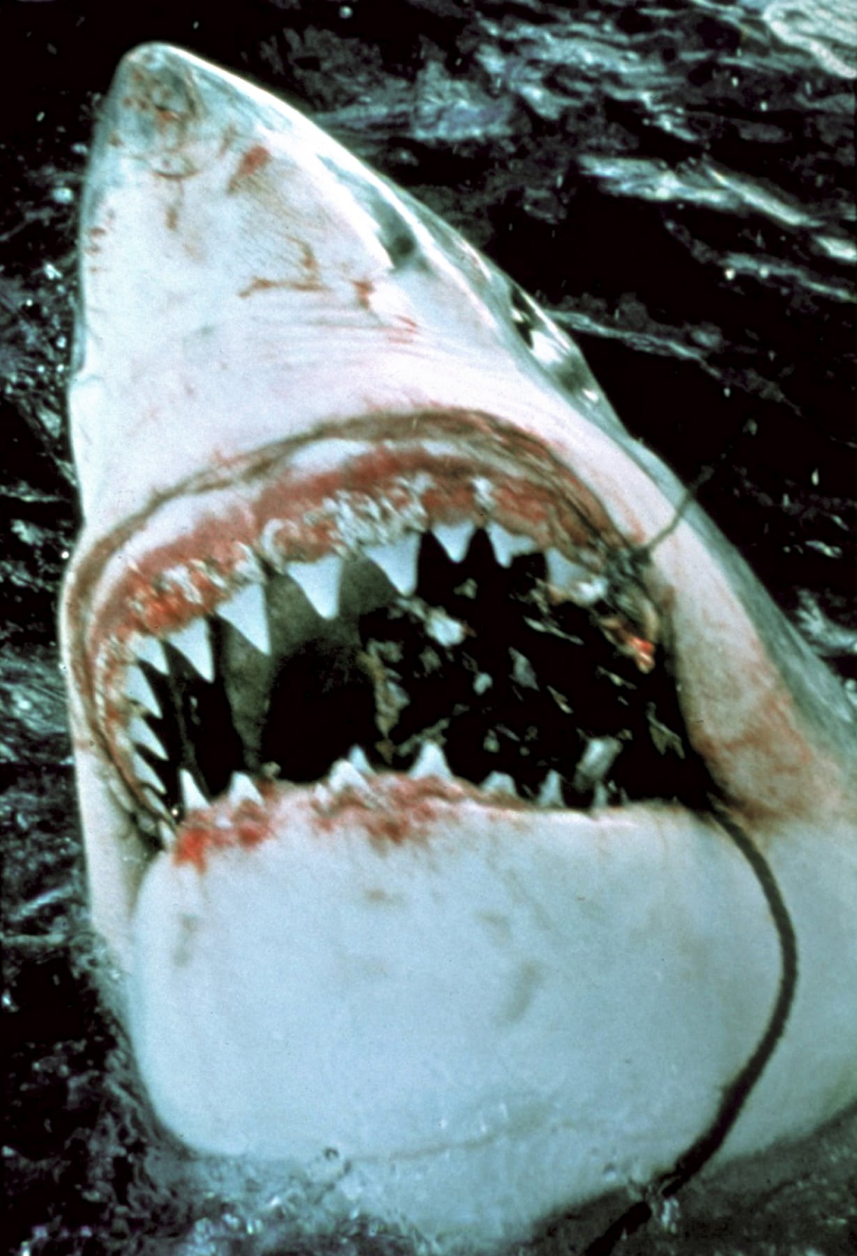 JAWS, 1975