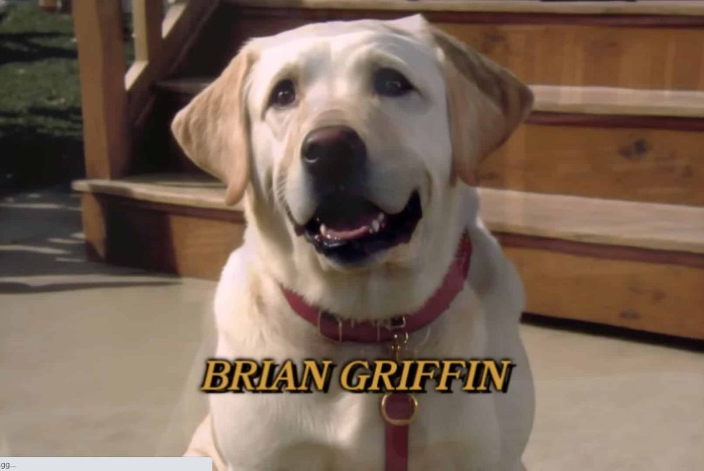 brian griffin