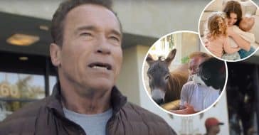 Arnold Schwarzenegger Has A Pony For His Grandchildren