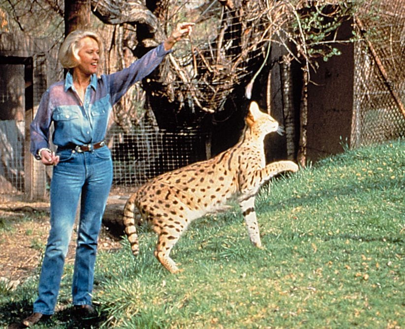 Tippi Hedren and her big cats