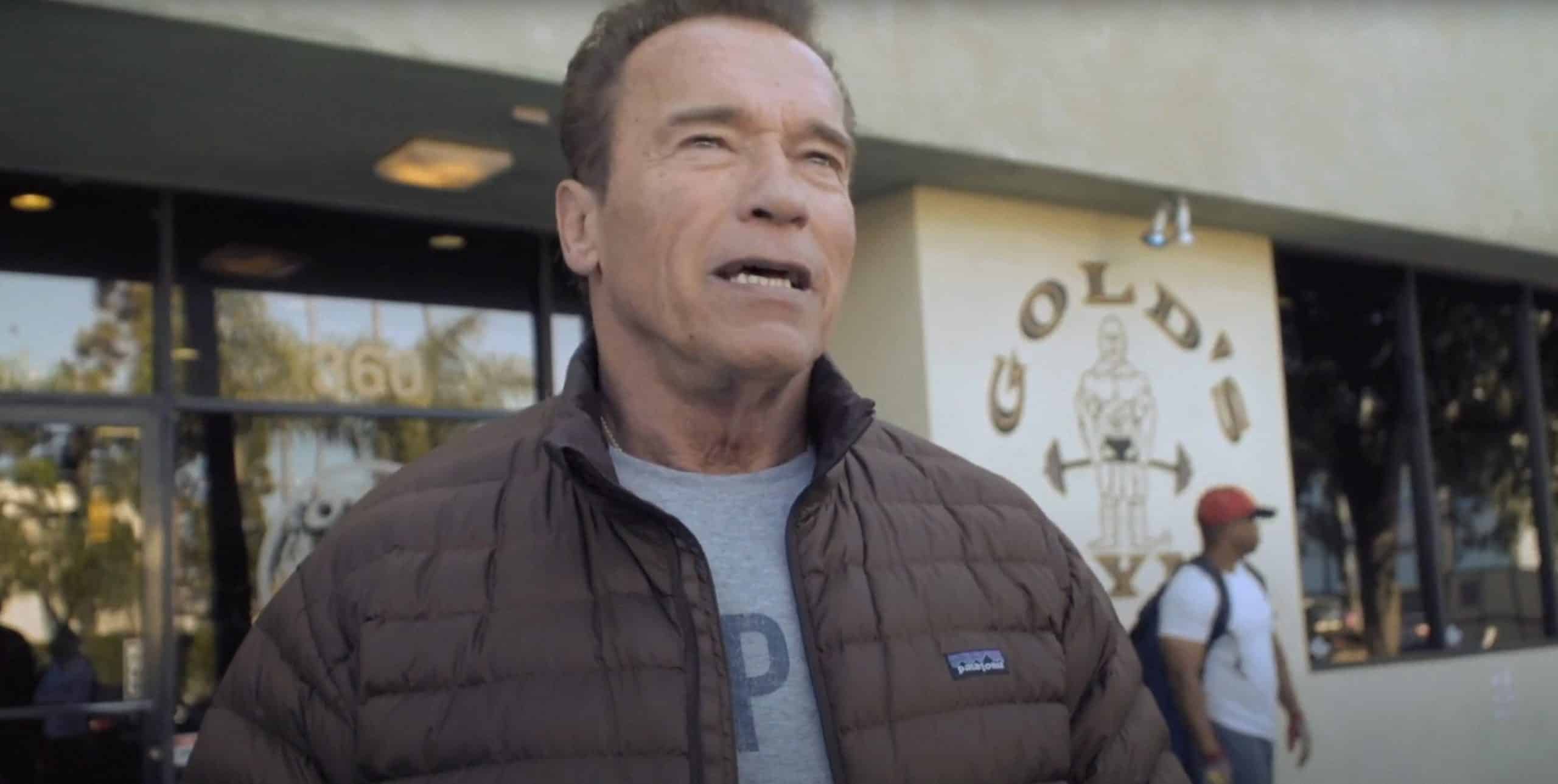 STALLONE: FRANK, THAT IS, Arnold Schwarzenegger, 2021