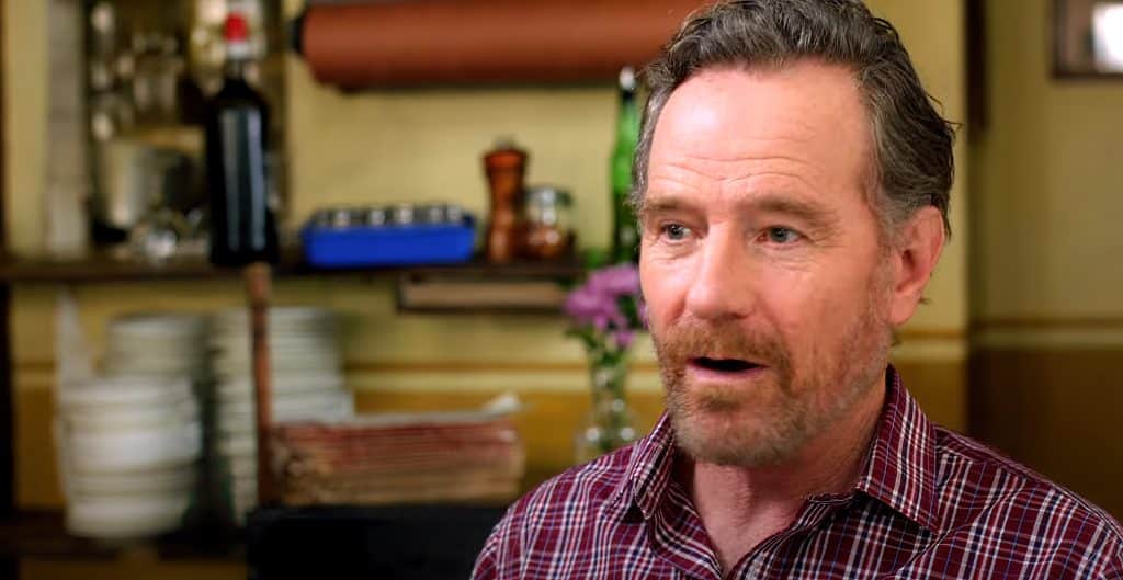 Bryan Cranston Wants To Play Willie Nelson In A Biopic