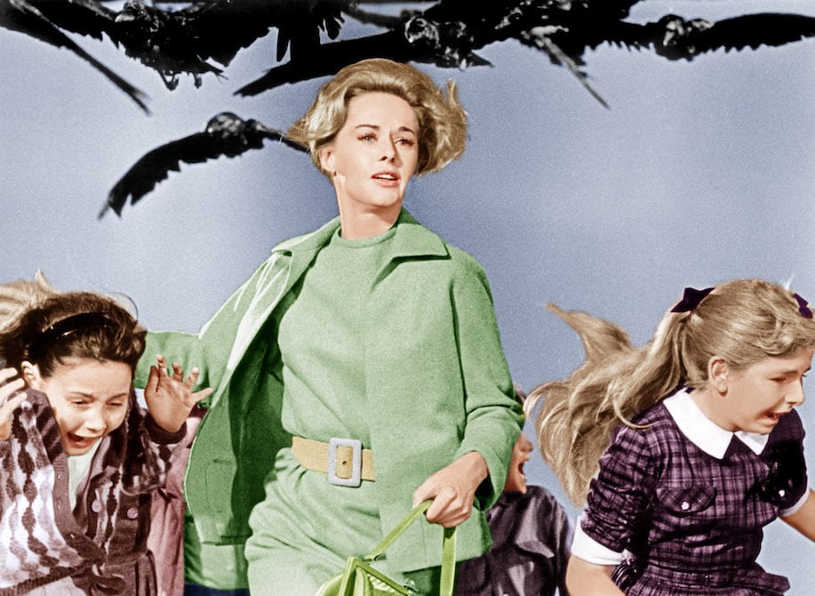 Tippi Hedren in The Birds.