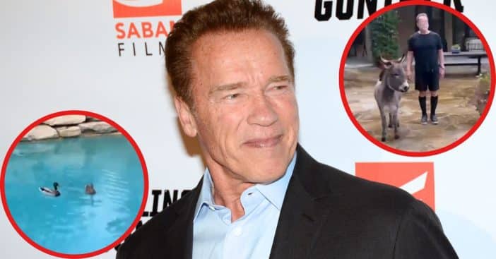 See Arnold Schwarzenegger's backyard