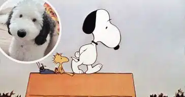 Snoopy the dog does exist in real life