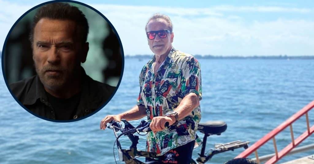 Arnold Schwarzenegger: 'Repercussions' He Experienced After Divorce