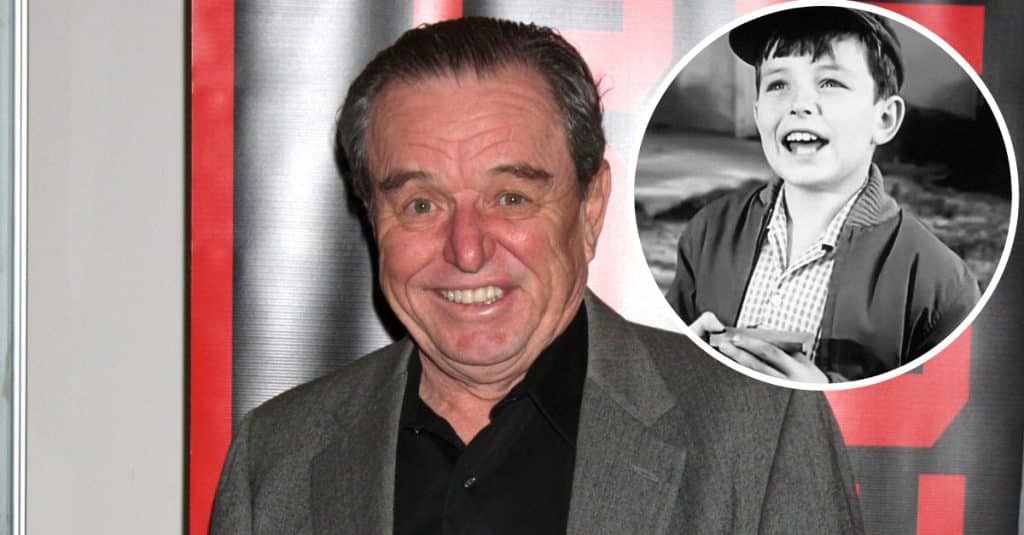 Jerry Mathers Opens Up About His Decision To Leave Acting