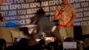 Michael J. Fox tripped while heading onstage at a Back to the Future fan expo