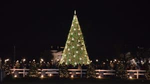 The idea of lighting a National Christmas Tree started in 1923