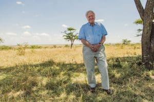 David Attenborough is returning to narrate more about Planet Earth