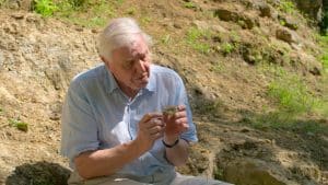 DAVID ATTENBOROUGH: A LIFE ON OUR PLANET, David Attenborough pictured holding a fossil in Leicestershire