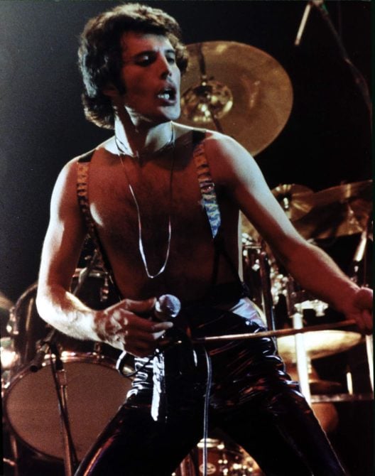 Freddie Mercury's last concert