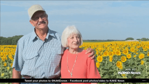 Renee was thrilled by the sunflower field her husband Lee Wilson planted