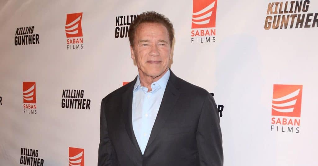 Arnold Schwarzenegger Admits Affair With Family Housekeeper Was