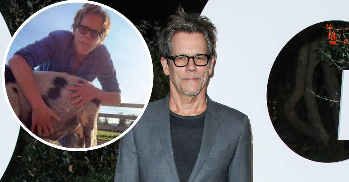 Kevin Bacon Farm