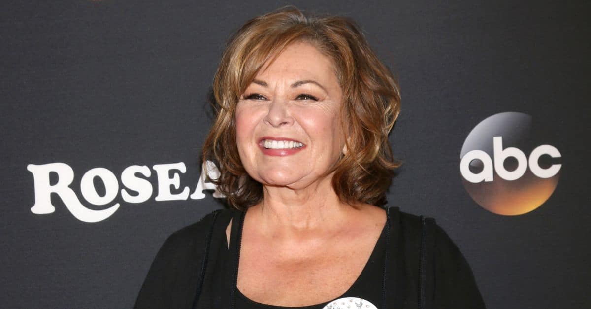 What Roseanne Barr’s Ex-Husband Really Thinks Of Her Racist Tweet ...