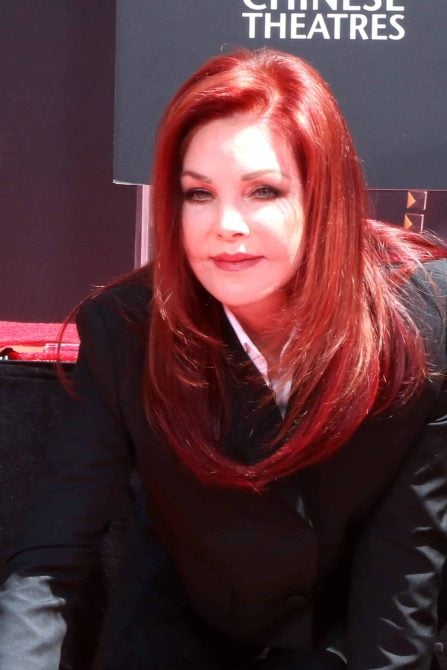 Priscilla Presley's hair