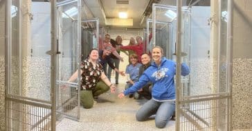 Animal Shelter Celebrates After All Pets Adopted For First Time In Nearly 50 years