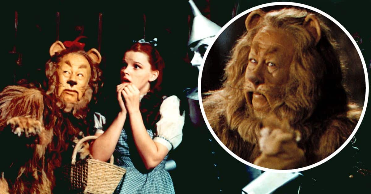 Cowardly Lion costume