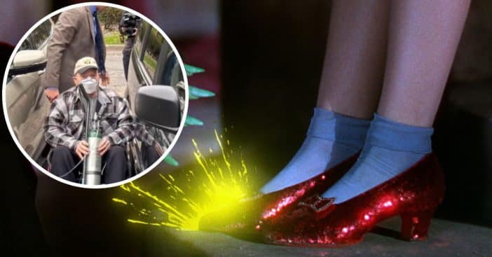 Wizard Of Oz Ruby slippers Thief