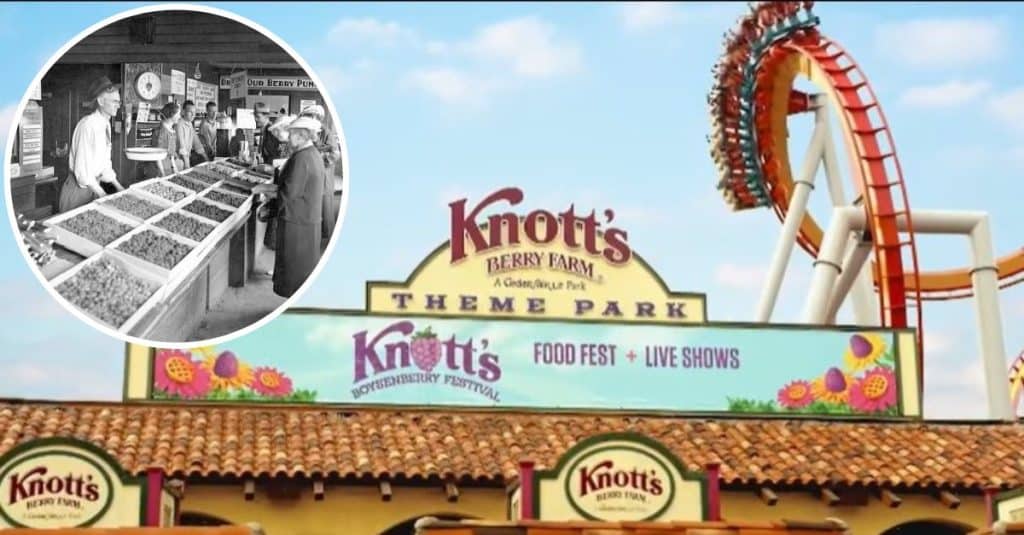 100YearOld Knott’s Berry Farm, Beloved Jam and Cookie Brand, Being