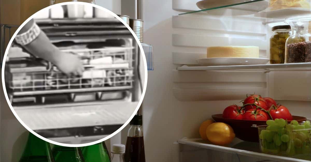 1956 Refrigerator