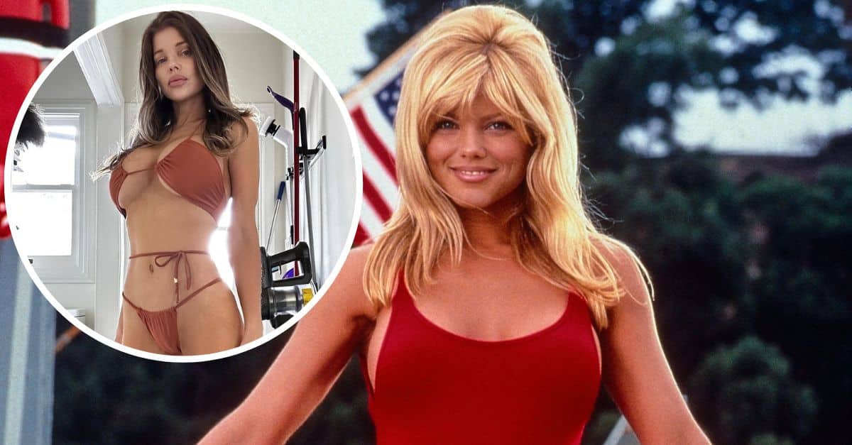 ‘Baywatch’ Star Donna D’Errico Leaves Little To The Imagination In Recent Instagram Bikini Photo