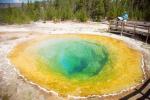 Park experts warn that visitors can sustain third degree burns or worse if they wander into the wrong spot, and that these microbiomes can be harmfully disrupted