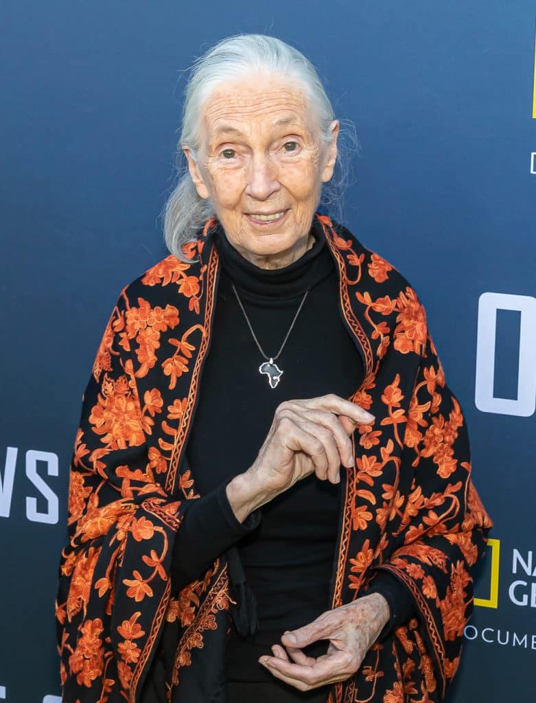 93-Year-Old Clint Eastwood Makes Rare Appearance For Jane Goodall Event ...