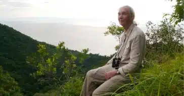 Jane Goodall shares her biggest wish for all the world