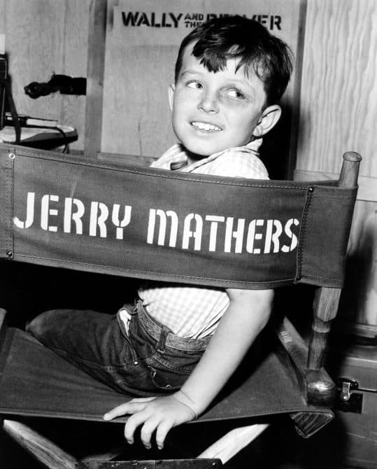 Jerry Mathers Leave It To Beaver