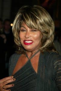 Tina Turner contributed significantly to the city