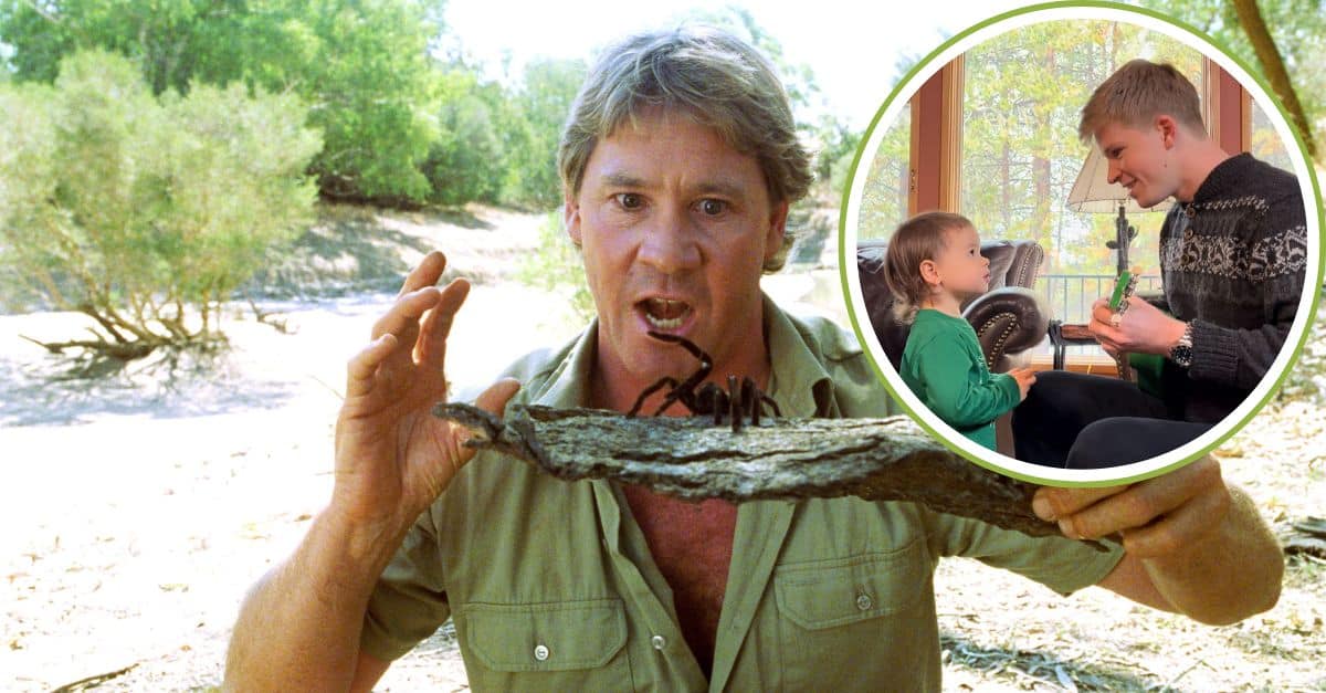 Steve Irwin Bindi
