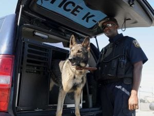Connecticut State Police celebrates the graduation of over half a dozen K-9 units ready to protect and serve