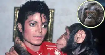 Michael Jackson's pet