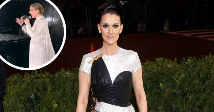 Celine Dion donned a dress that suits the grandeur of her comeback