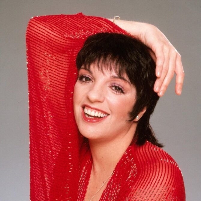 Liza Minnelli memoir