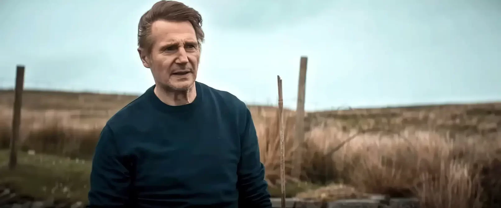 Liam neeson retiring