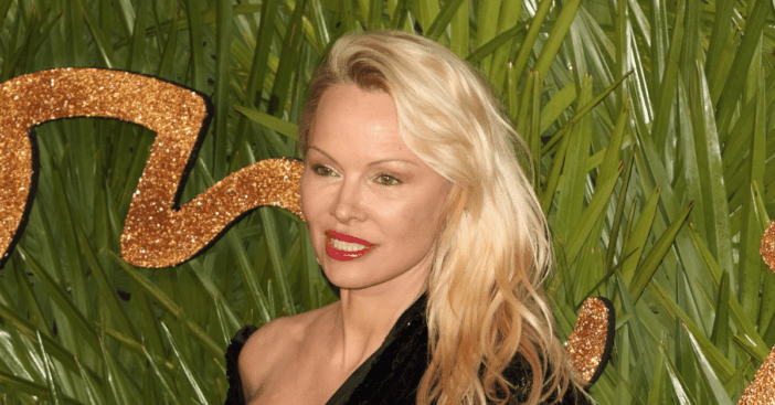 Pamela Anderson stripped away bimbo persona