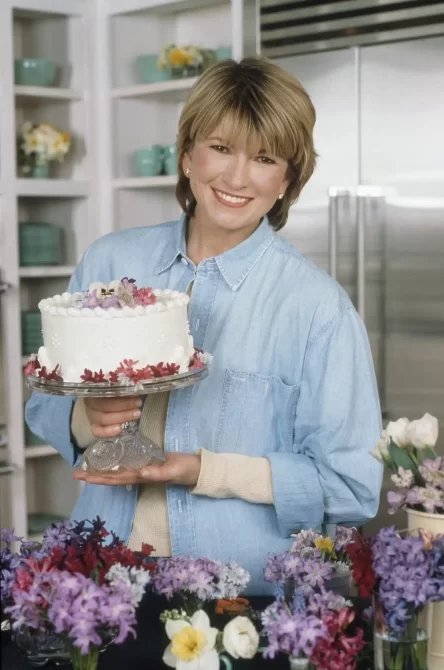 Martha Stewart 1978 kitchen