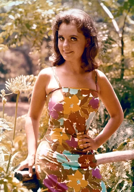 Dawn Wells paycheck Gilligan’s Island