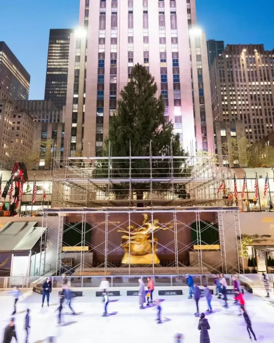 Rockefeller Center Christmas Tree