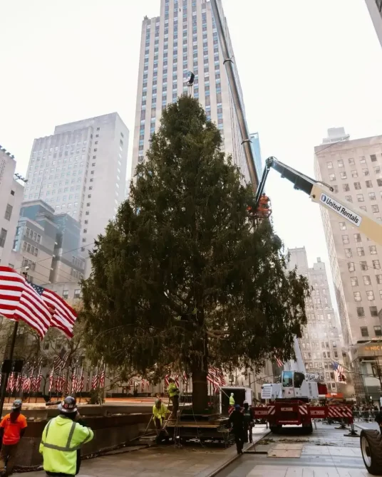 Rockefeller Center Christmas Tree