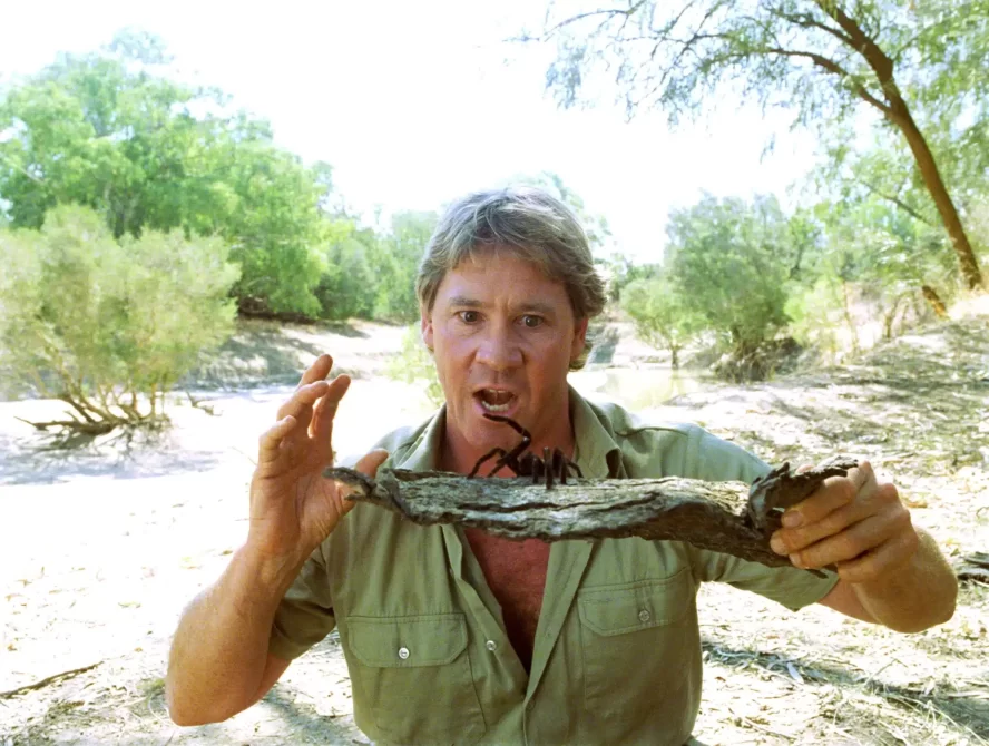 Steve Irwin bindi Irwin AI