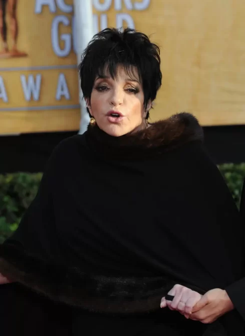 Liza Minnelli memoir